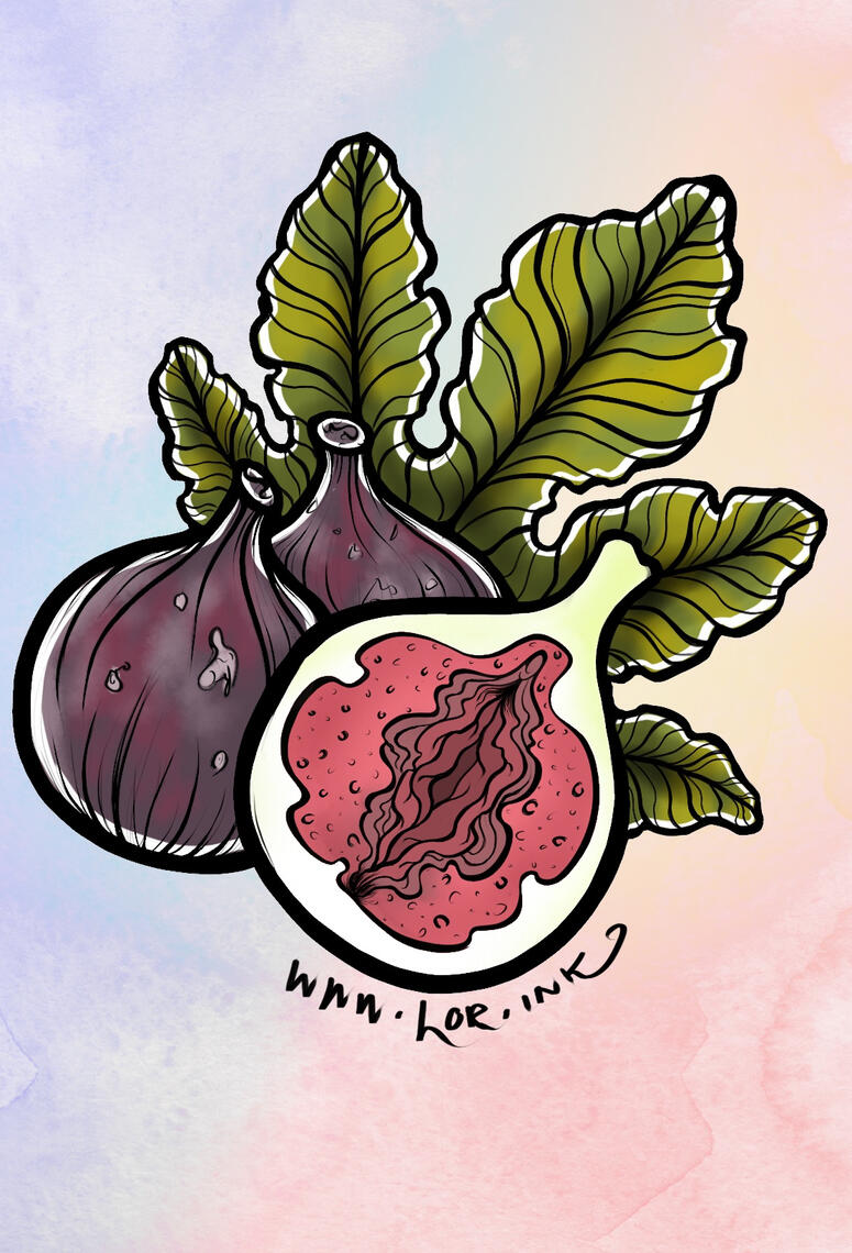 Fig Vulva 💕