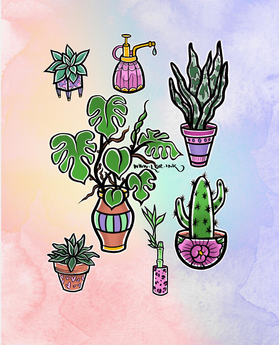 Houseplants 💕