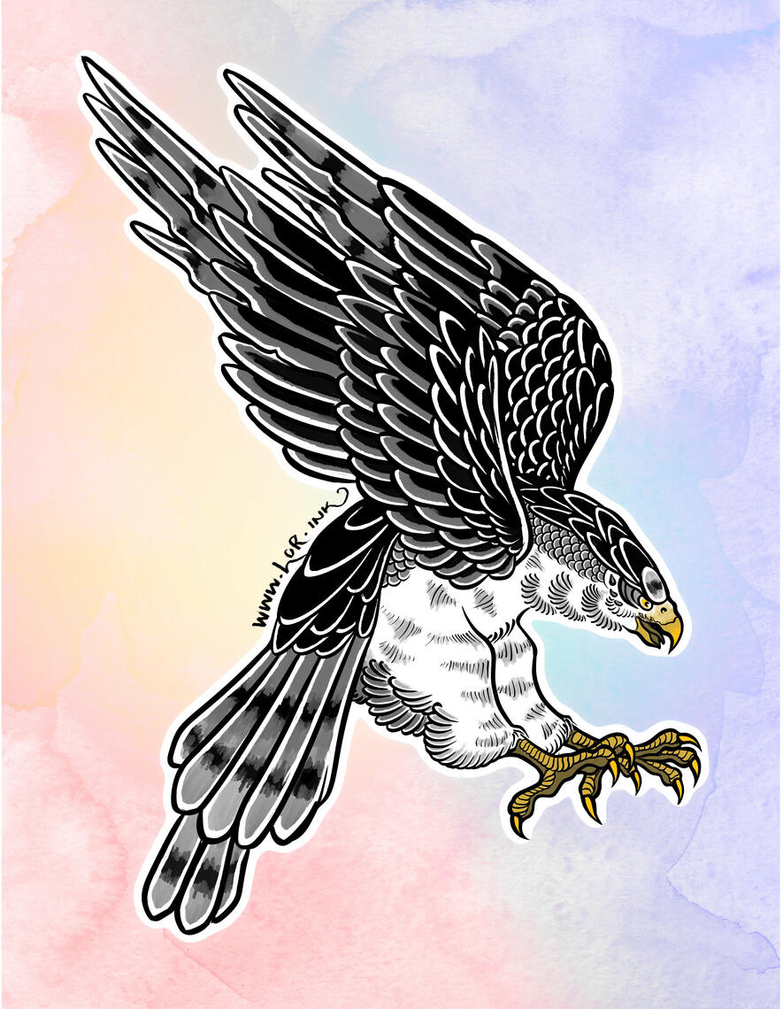 Falcon